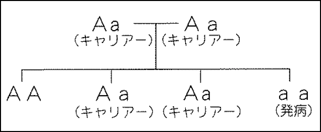 常染色体劣性遺伝